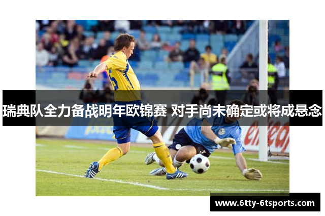 瑞典队全力备战明年欧锦赛 对手尚未确定或将成悬念