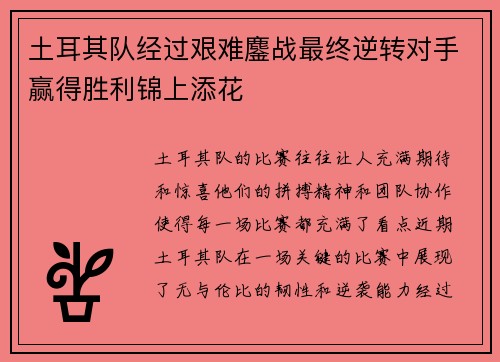 土耳其队经过艰难鏖战最终逆转对手赢得胜利锦上添花